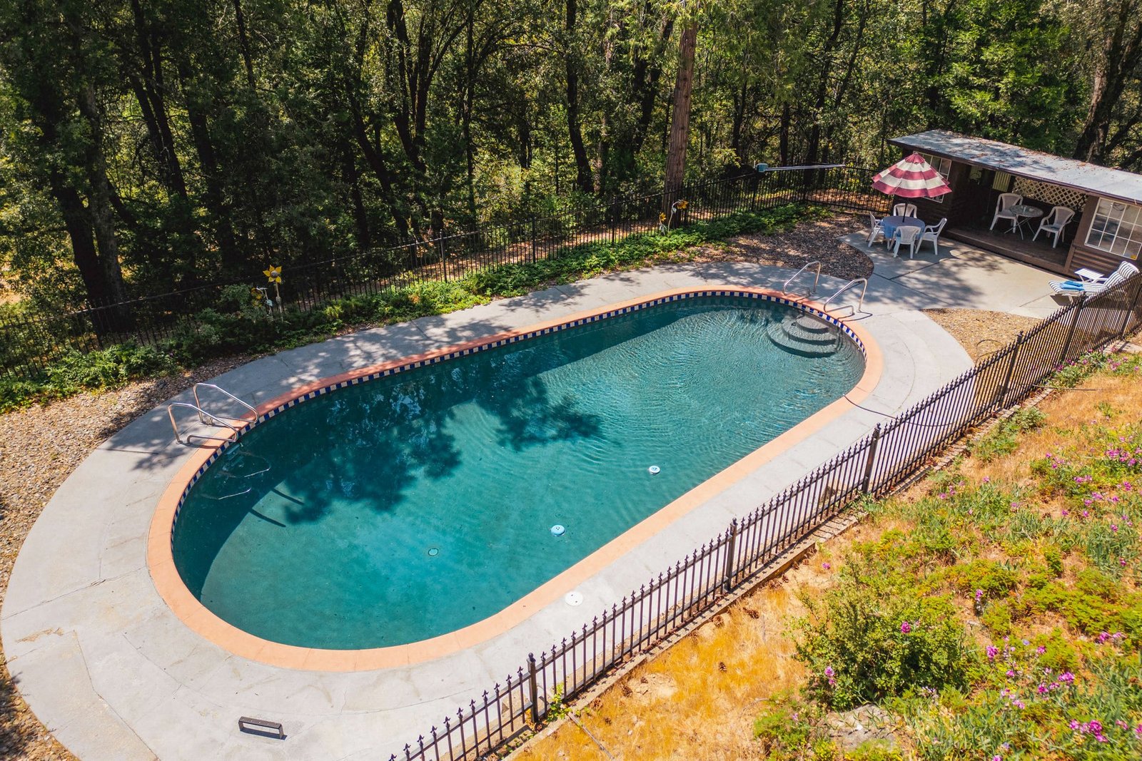 Aerial view of the private pool surrounded by Sierra pines